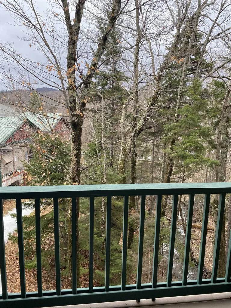 106/08 Qtr.2,89 Grand Summit Way Dover VT 05356