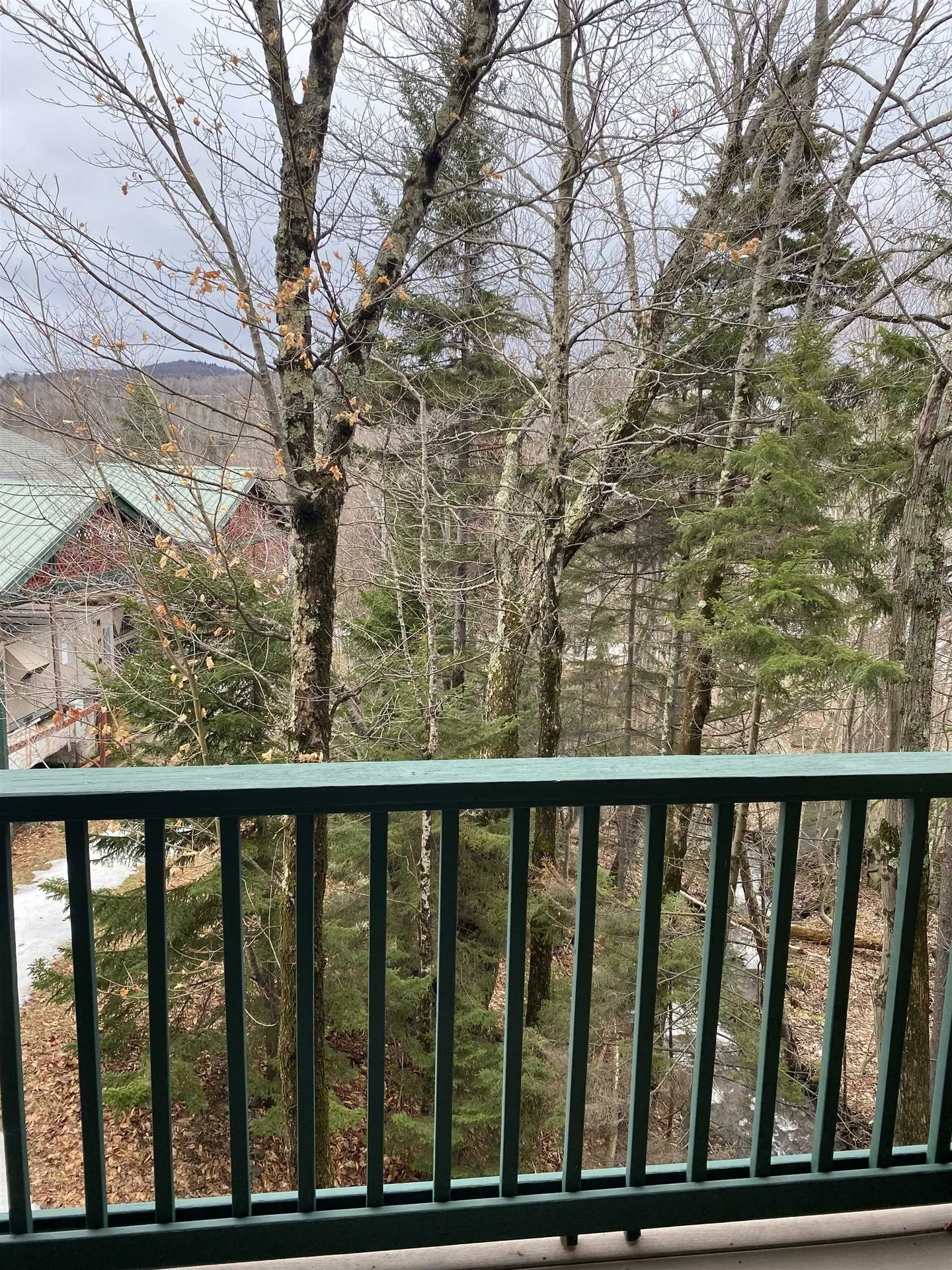 106/08 Qtr.2,89 Grand Summit Way Dover VT 05356