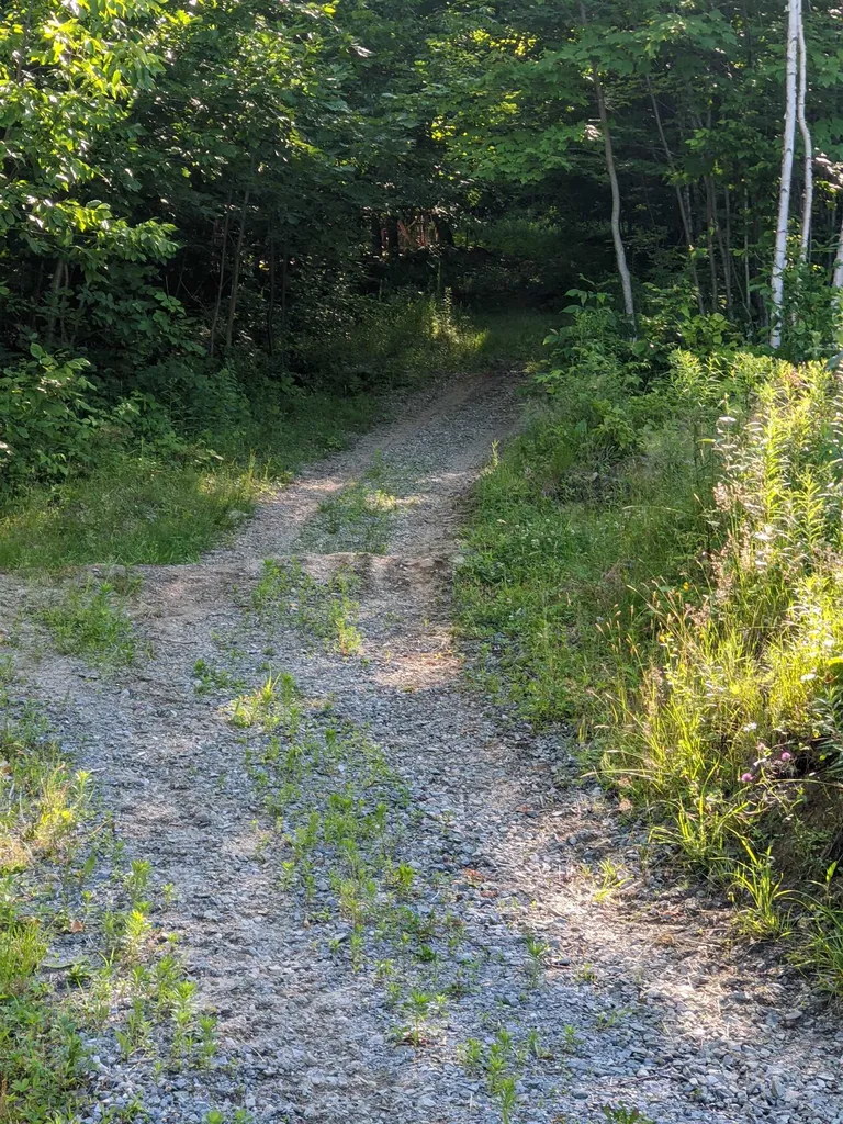 0 Savage Hill Road Jefferson NH 03583