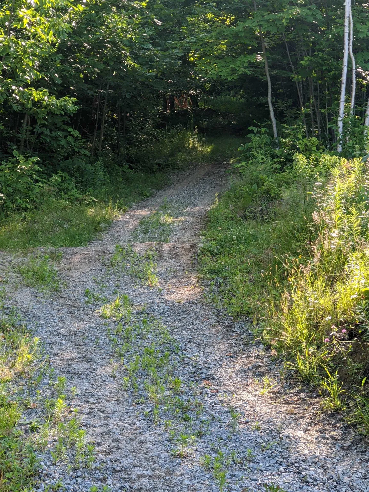 0 Savage Hill Road Jefferson NH 03583