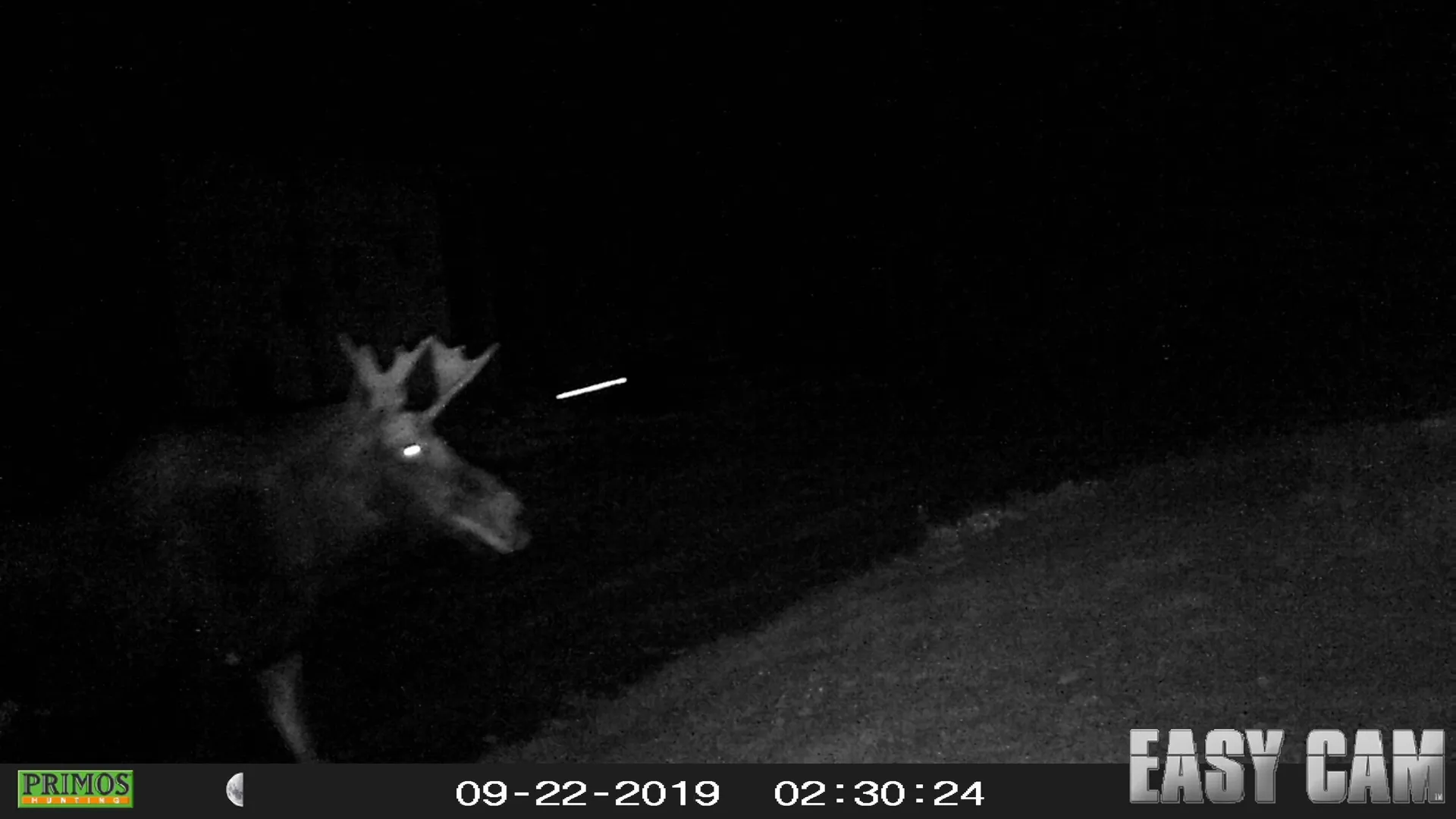 0 Savage Hill Road Jefferson NH 03583