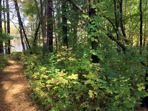 27 Christian Ridge Road Wolfeboro NH 03894