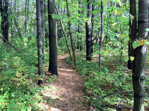 27 Christian Ridge Road Wolfeboro NH 03894