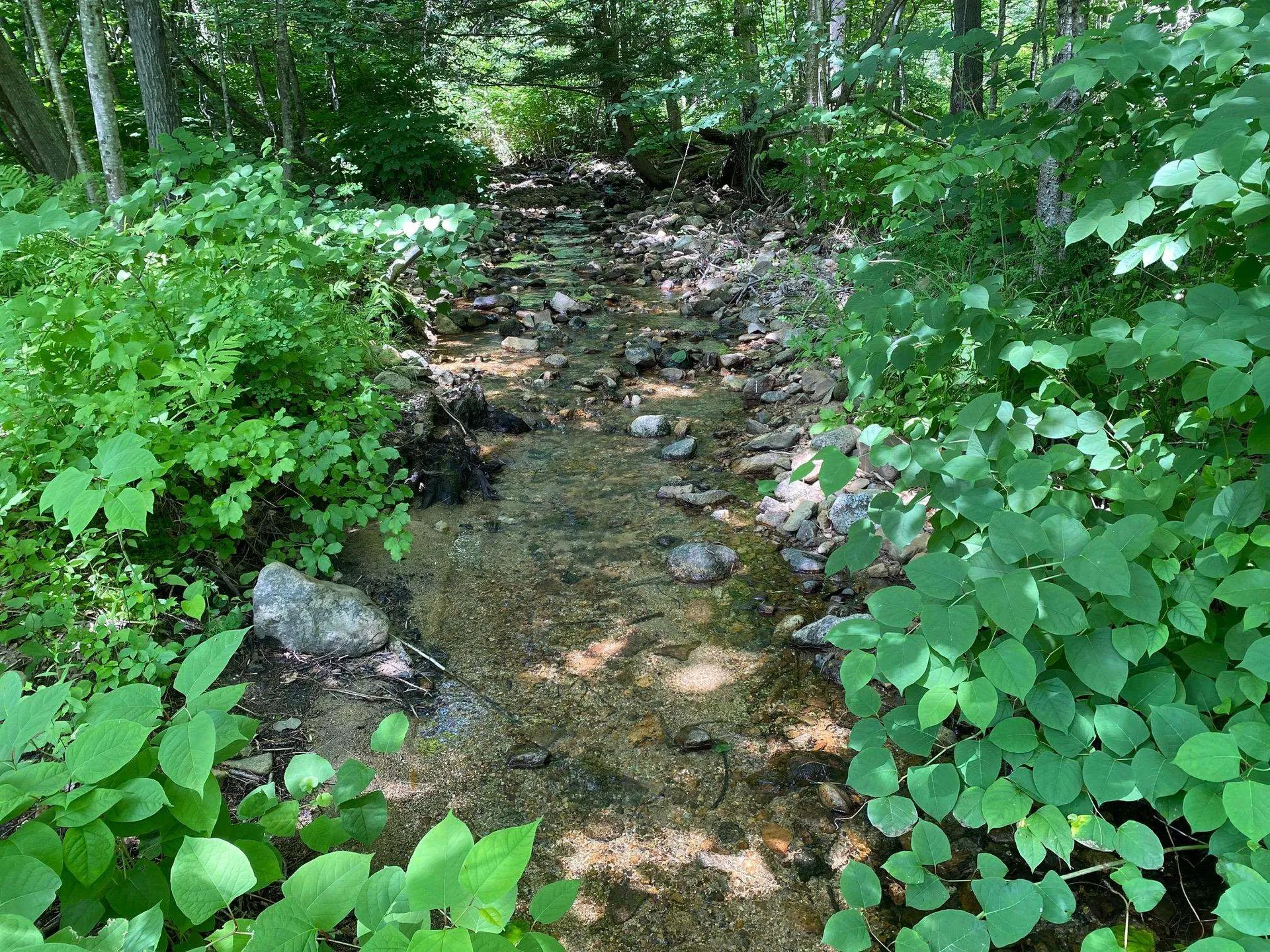 304 Sheridan Road Moultonborough NH 03254