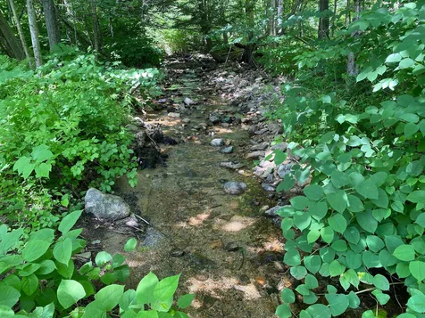 304 Sheridan Road Moultonborough NH 03254
