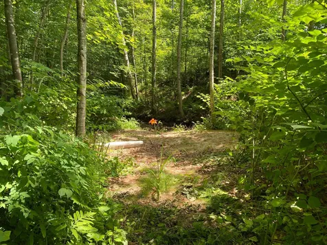 304 Sheridan Road Moultonborough NH 03254
