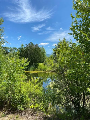 304 Sheridan Road Moultonborough NH 03254