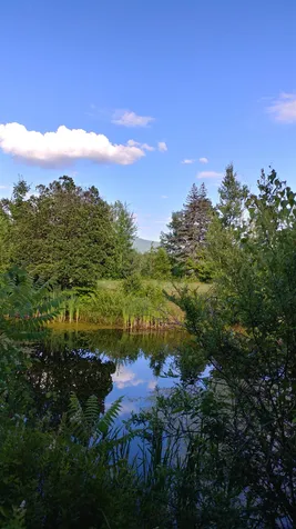 304 Sheridan Road Moultonborough NH 03254