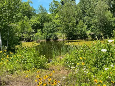 304 Sheridan Road Moultonborough NH 03254