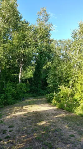 304 Sheridan Road Moultonborough NH 03254
