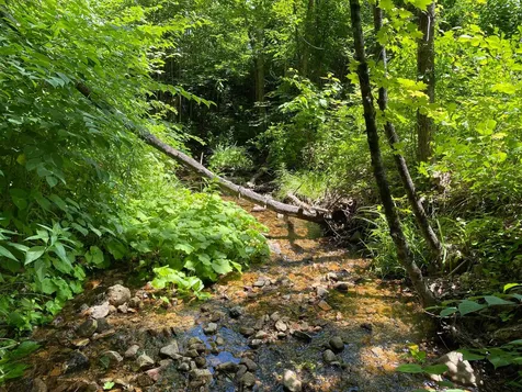304 Sheridan Road Moultonborough NH 03254