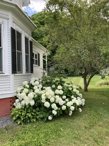 126 Summer Street Springfield VT 05156