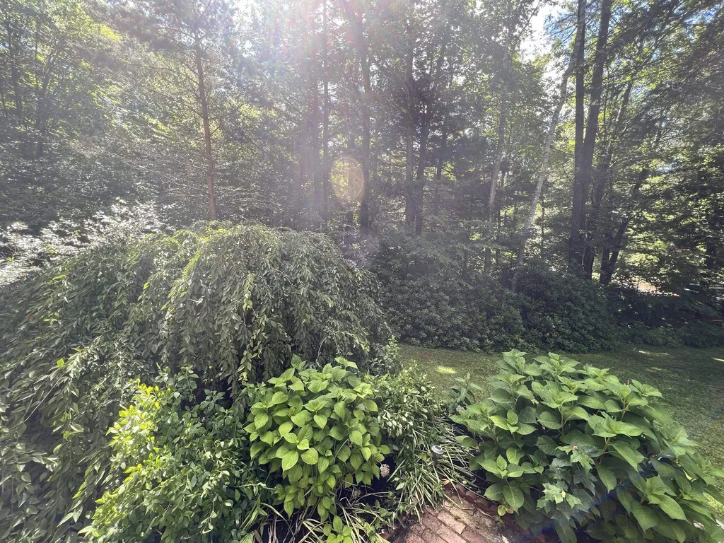 45 Barberry Lane Strafford NH 03884