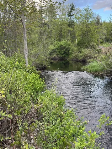 45 Long Shores Drive Barrington NH 03825