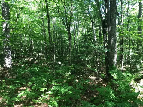 15 Pollys Crossing Road Ossipee NH 03864