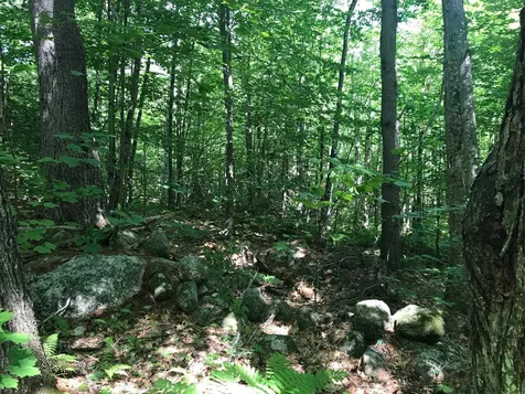 15 Pollys Crossing Road Ossipee NH 03864