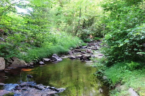 66 Intervale Road Gilford NH 03249