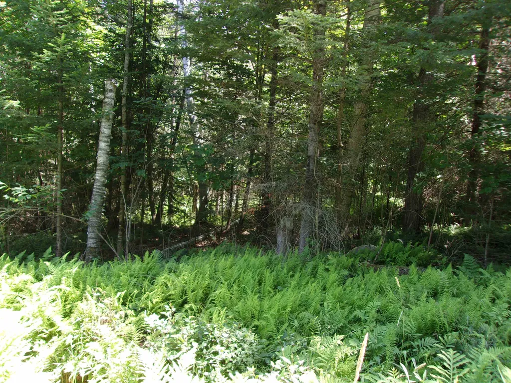Deerfield Drive Haverhill NH 03785