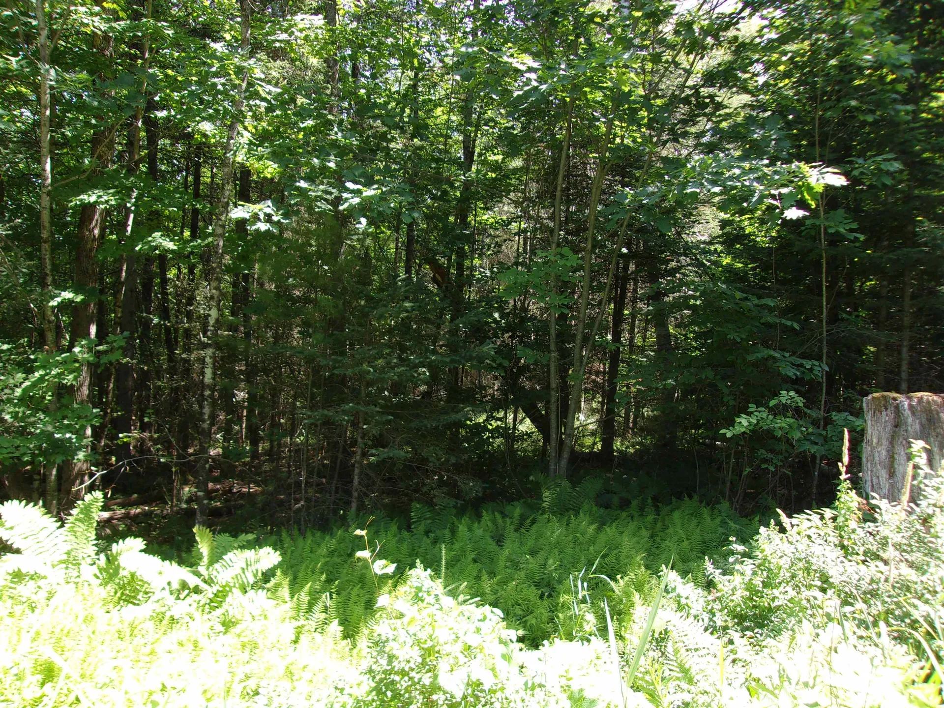 Deerfield Drive Haverhill NH 03785