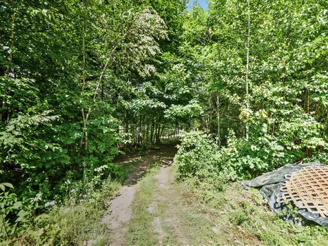 54 Boynton Road New Hampton NH 03256