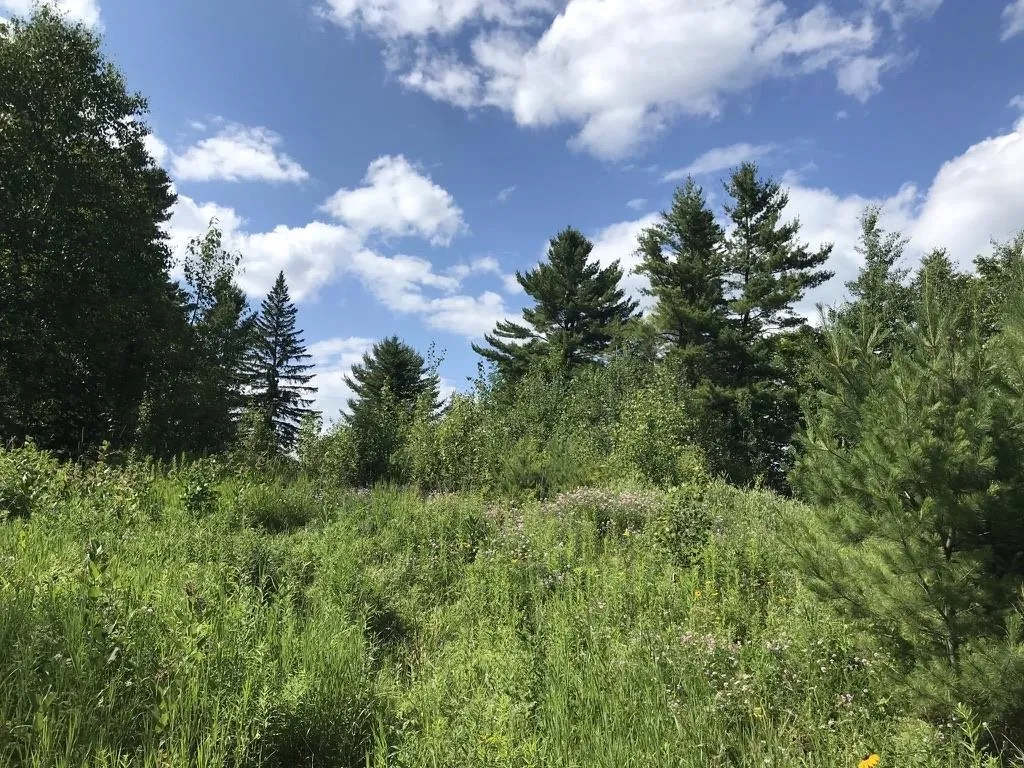 300 Private Road Vershire VT 05079