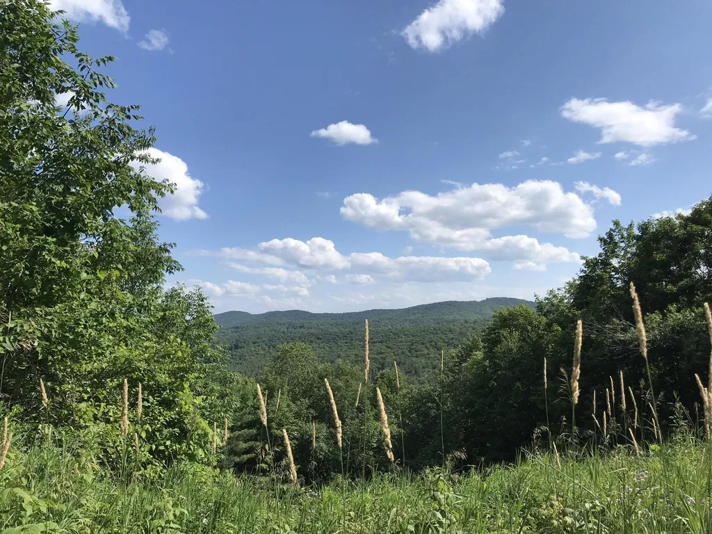 300 Private Road Vershire VT 05079