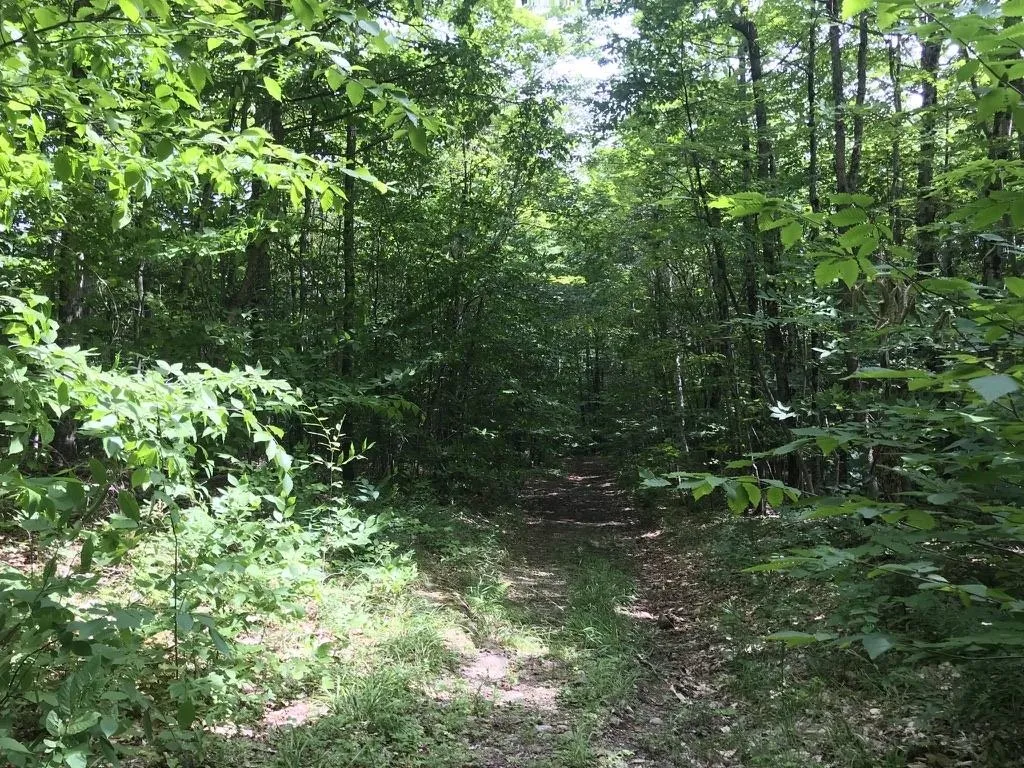 300 Private Road Vershire VT 05079
