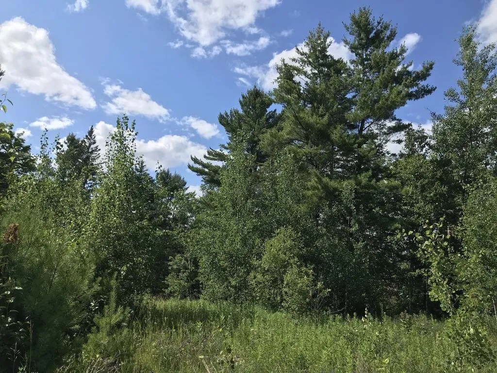 300 Private Road Vershire VT 05079