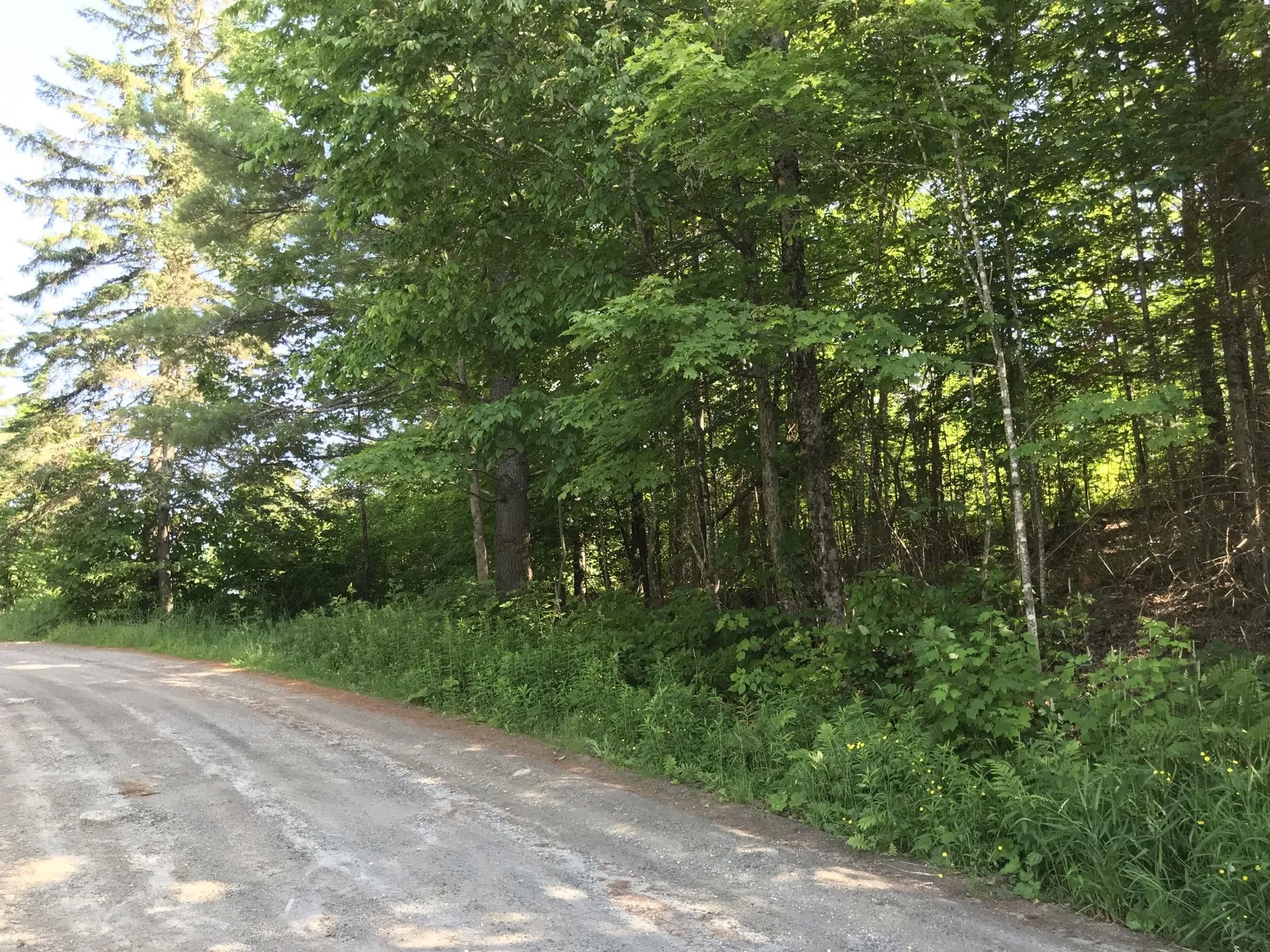300 Private Road Vershire VT 05079