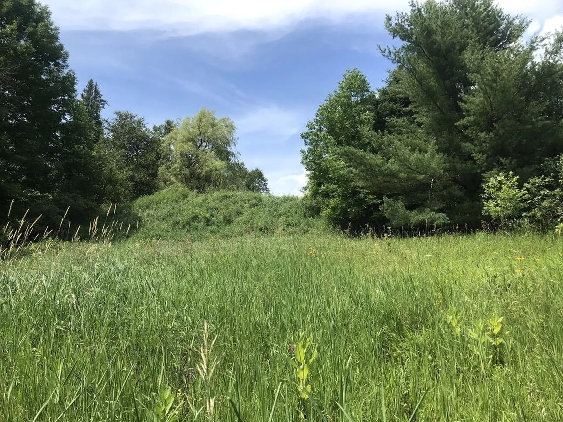 300 Private Road Vershire VT 05079