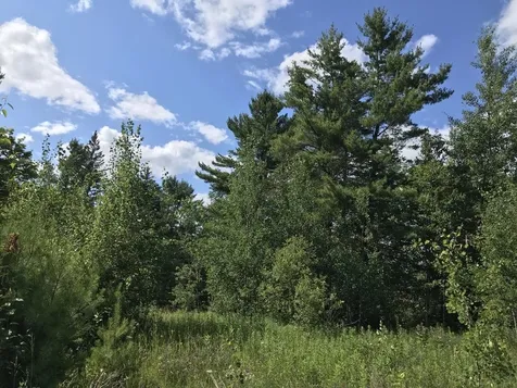 300 Private Road Vershire VT 05079