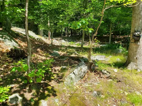 484 Rattlesnake Island Alton NH 03809