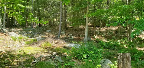 484 Rattlesnake Island Alton NH 03809