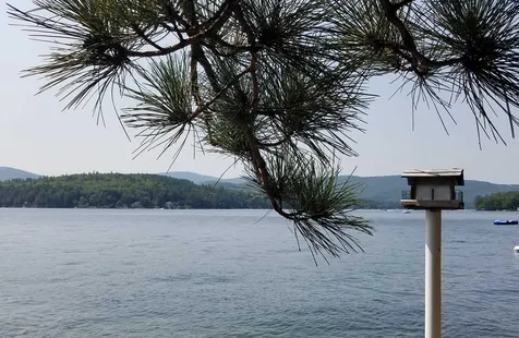 484 Rattlesnake Island Alton NH 03809