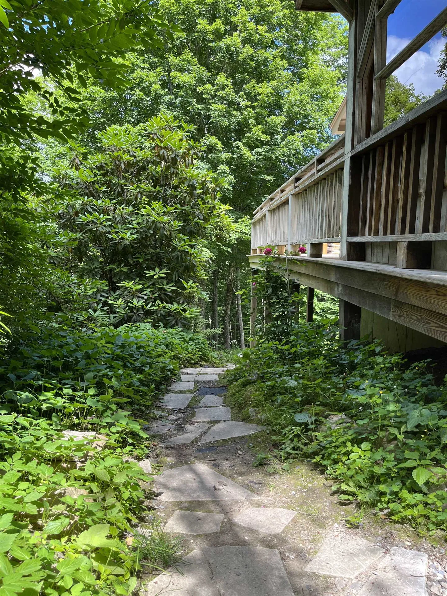 163 Browns Road Lincoln VT 05443