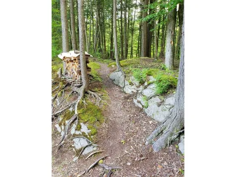 31 Audry Lane Westford VT 05494