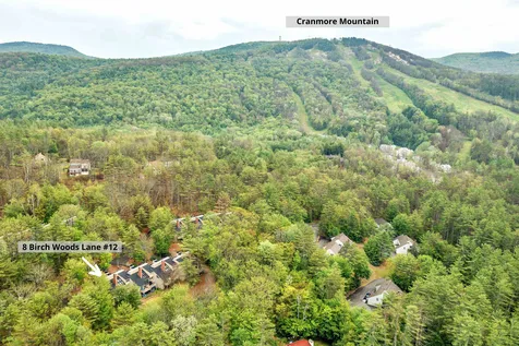 8 Birch Woods Lane Conway NH 03860