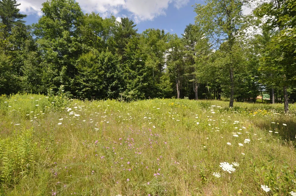 Lot 9 Partridge Hill Manchester VT 05255