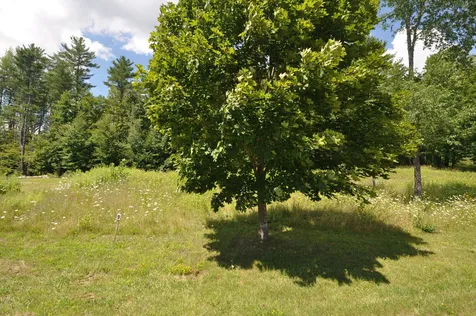 Lot 9 Partridge Hill Manchester VT 05255