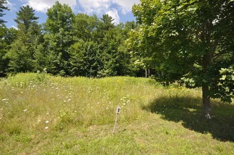Lot 9 Partridge Hill Manchester VT 05255