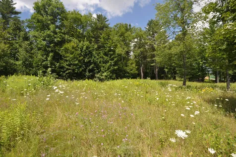 Lot 9 Partridge Hill Manchester VT 05255