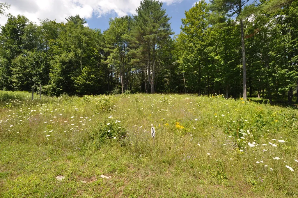 Lot 10 Partridge Hill Manchester VT 05255