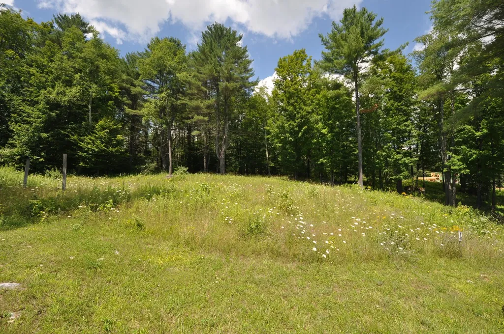 Lot 10 Partridge Hill Manchester VT 05255