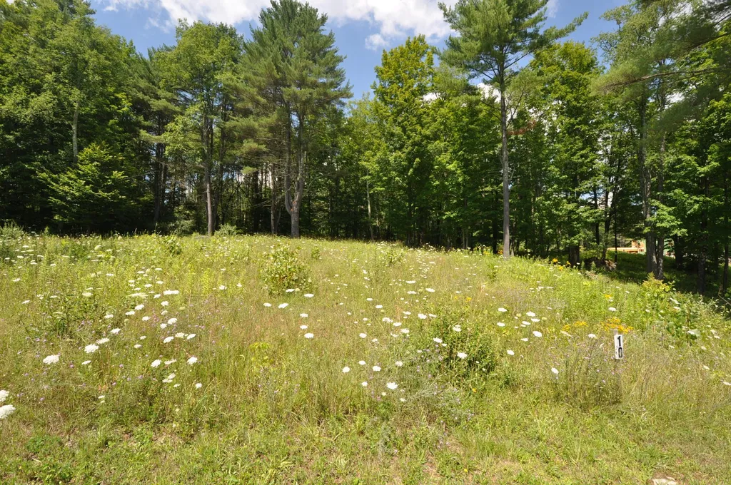 Lot 10 Partridge Hill Manchester VT 05255