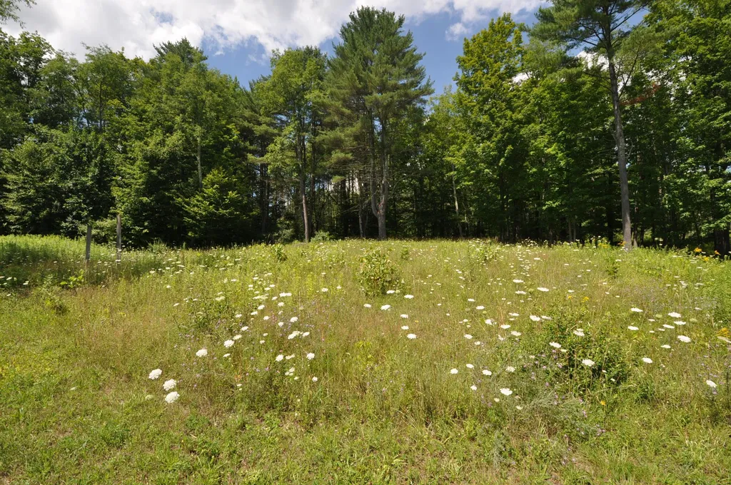 Lot 10 Partridge Hill Manchester VT 05255