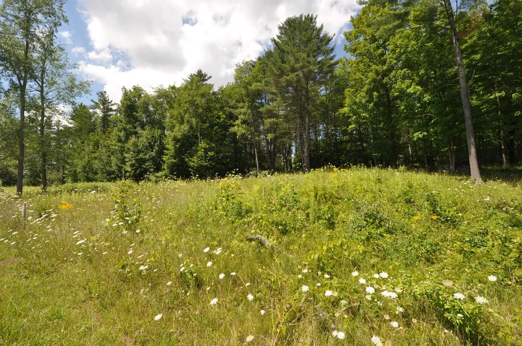 Lot 10 Partridge Hill Manchester VT 05255