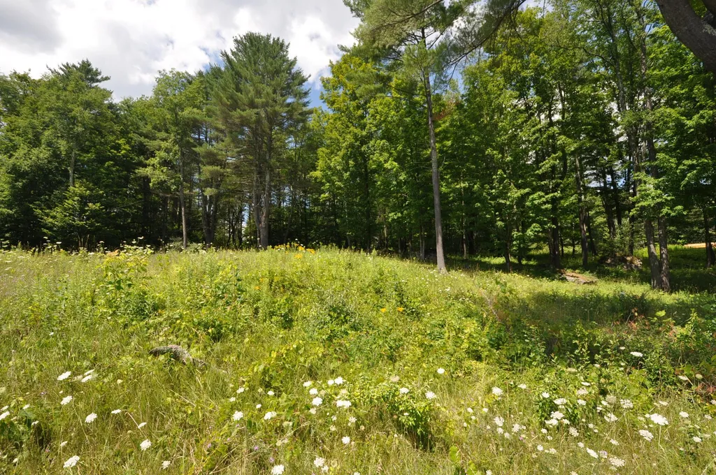Lot 10 Partridge Hill Manchester VT 05255