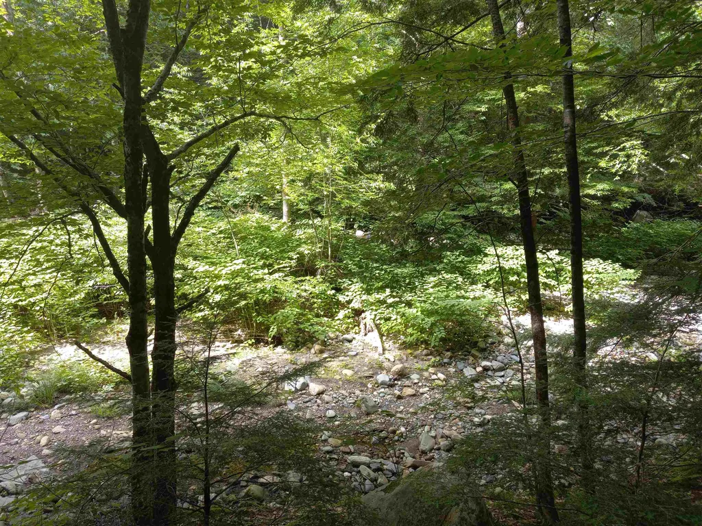 000 Wheeler Rand Road Charlestown NH 03603