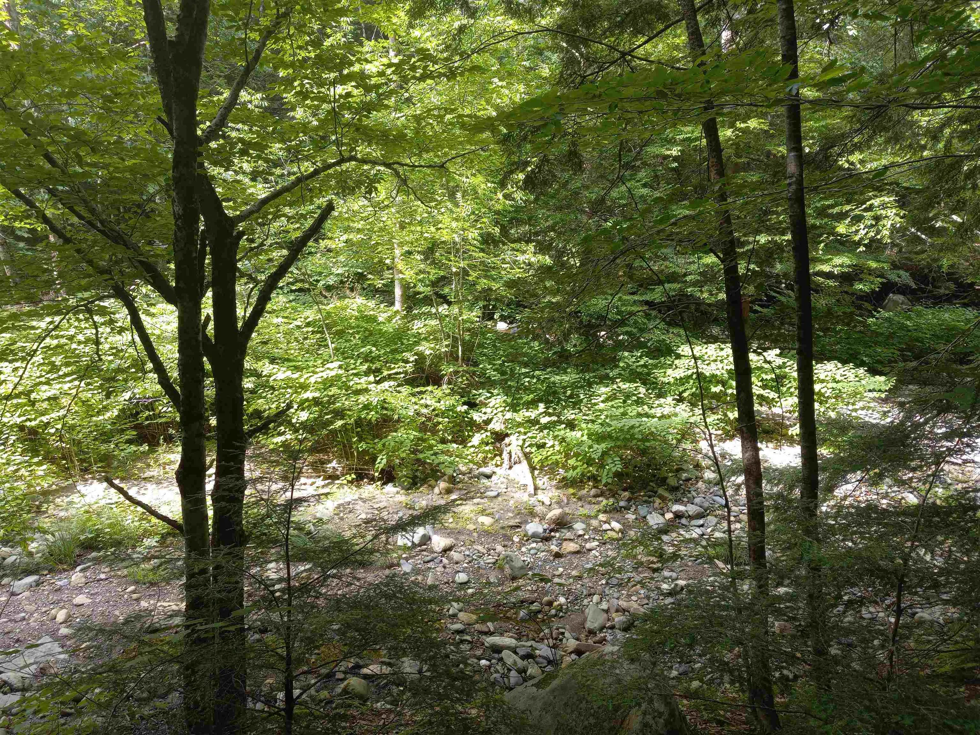 000 Wheeler Rand Road Charlestown NH 03603