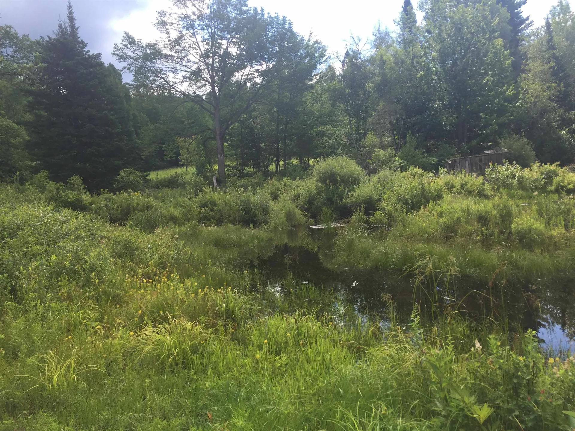 691 Gore Road Newport Town VT 05857